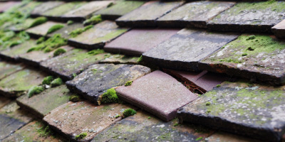 Ongar roof repair costs